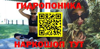 молекула духа Краснодар