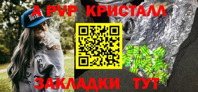 стафф Краснознаменск