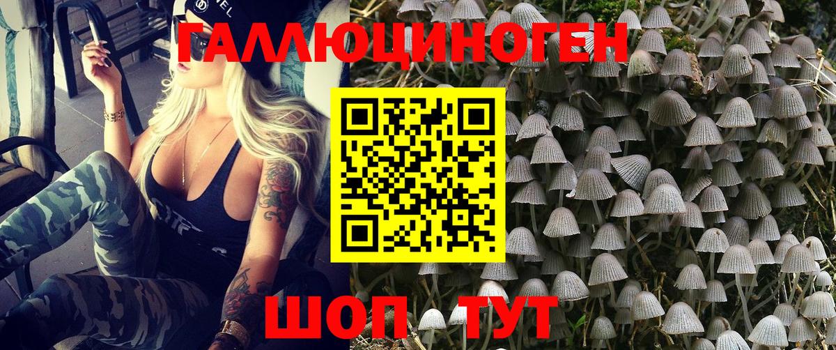 Псилоцибиновые грибы GOLDEN TEACHER  Галлюциногенные грибы MAGIC MUSHROOMS  Вход с VPN  Заводоуковск 